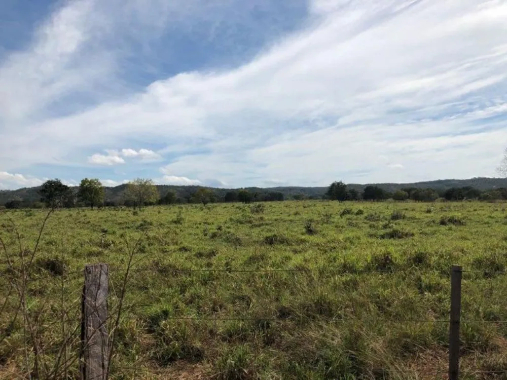 Fazenda - Foto 6