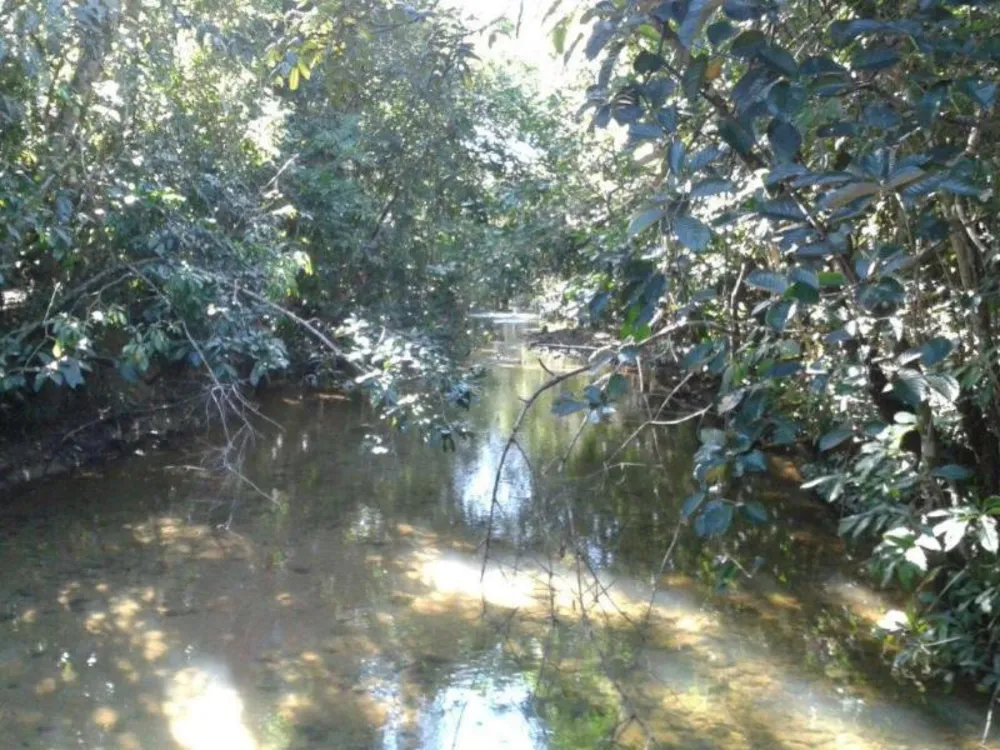 Fazenda - Foto 7