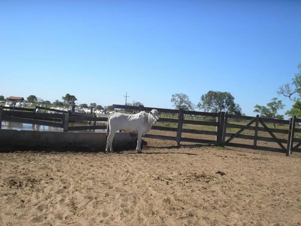 Fazenda à venda - Foto 1