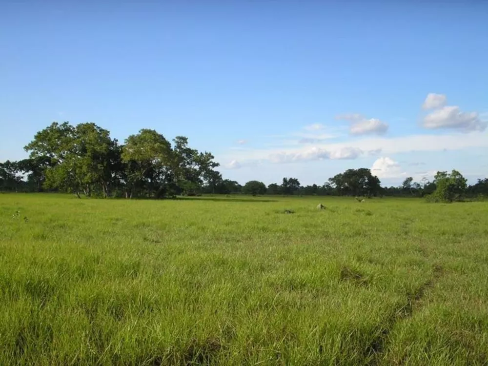 Fazenda à venda - Foto 2