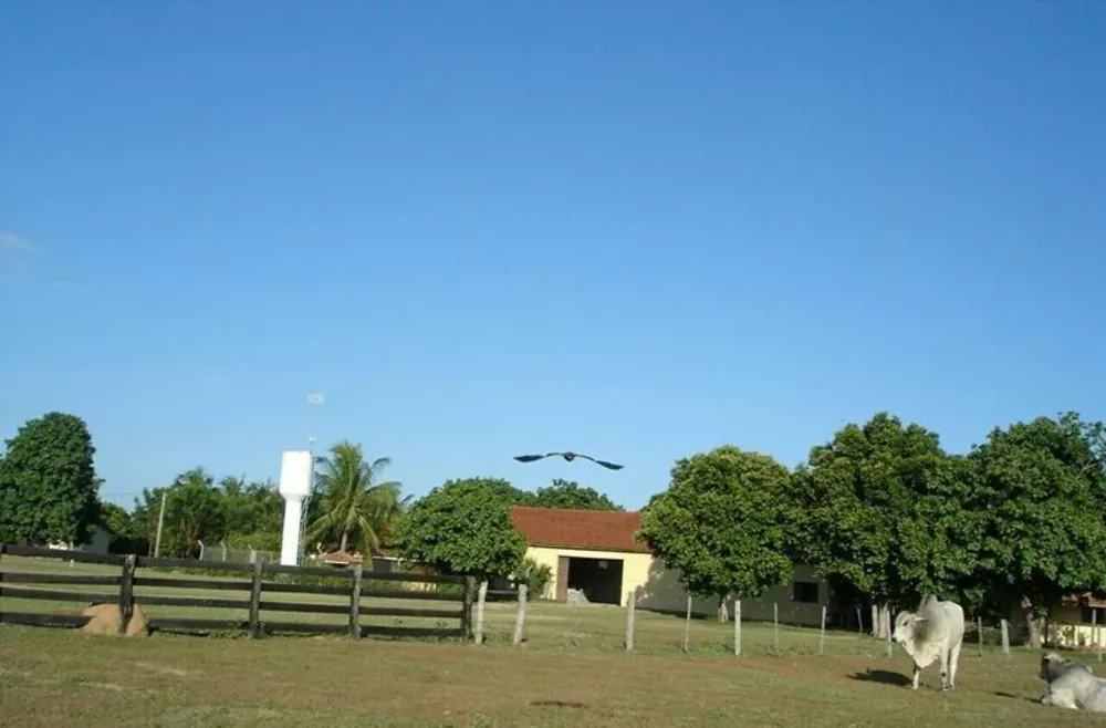 Fazenda à venda - Foto 8