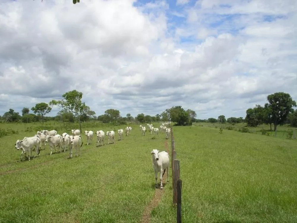 Fazenda à venda - Foto 5