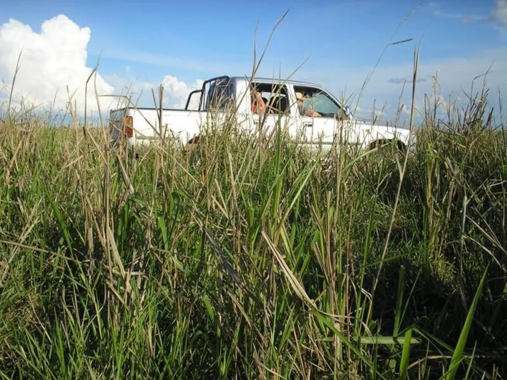 Fazenda à venda - Foto 3