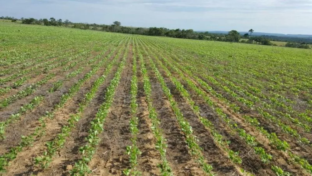 Fazenda à venda - Foto 1