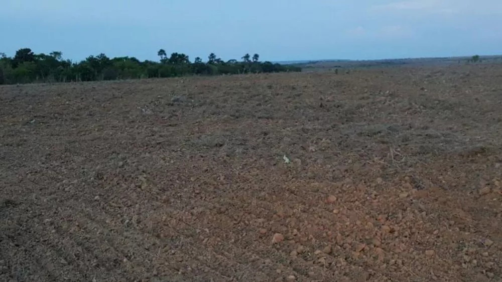 Fazenda à venda - Foto 8