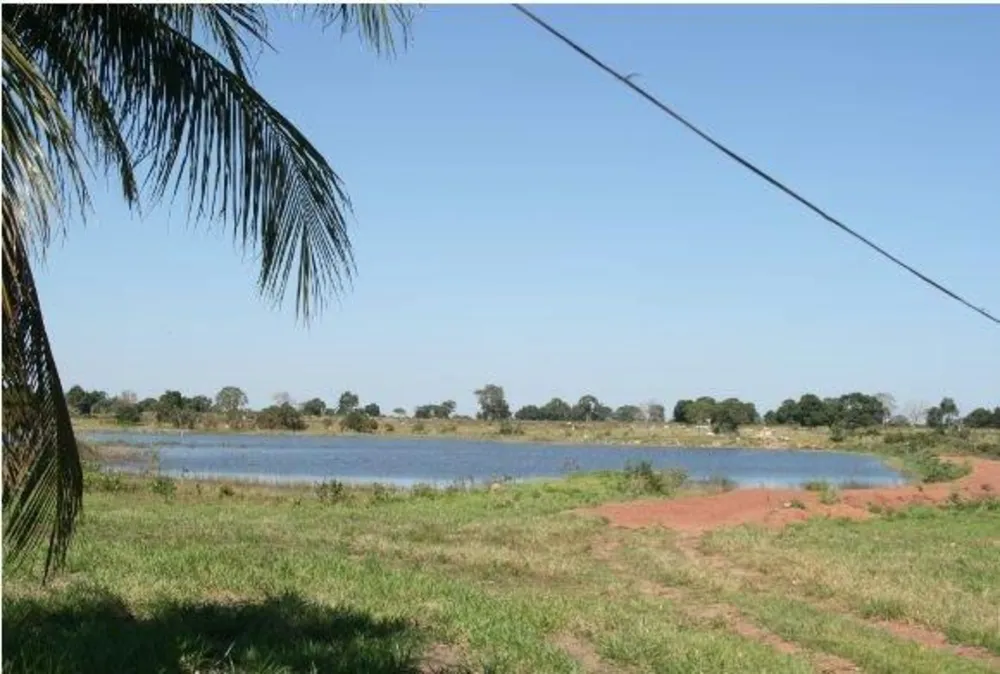 Fazenda - Foto 9
