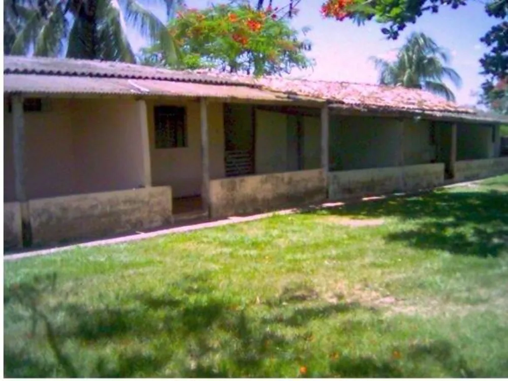 Fazenda - Foto 5