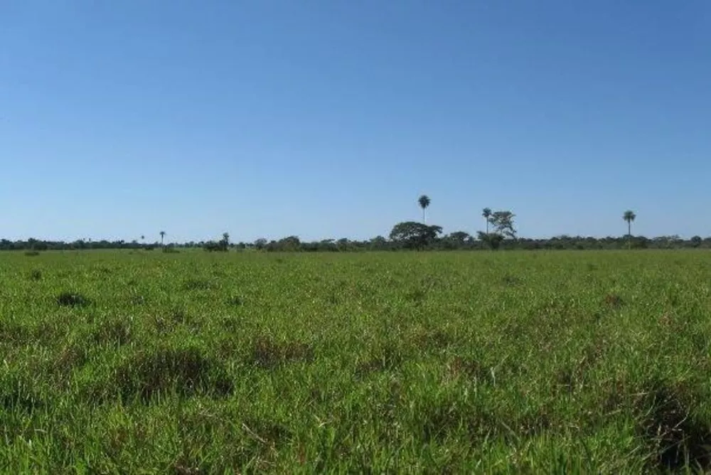 Fazenda à venda - Foto 1