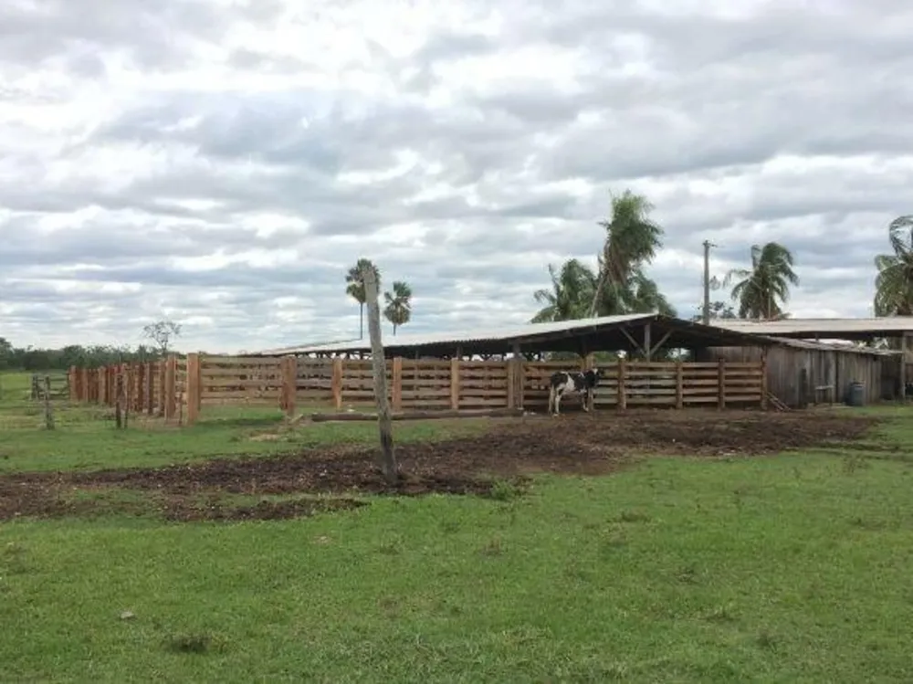 Fazenda - Foto 7