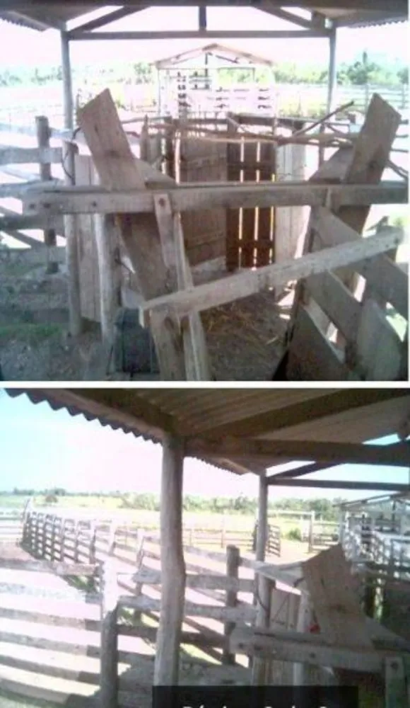 Fazenda - Foto 11