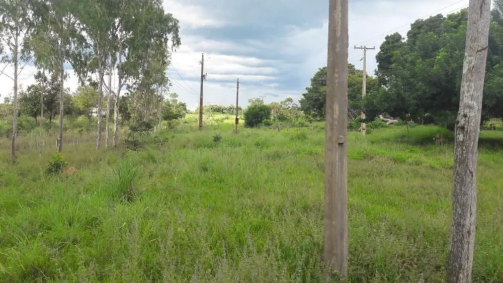 Fazenda - Foto 5