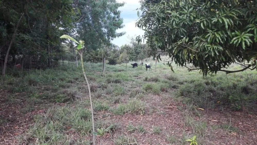Fazenda - Foto 7