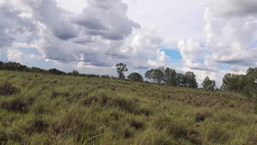 Fazenda à venda - Foto 3