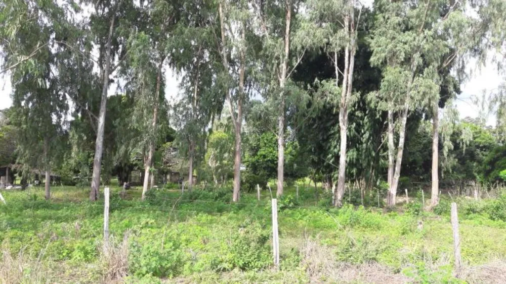 Fazenda - Foto 8