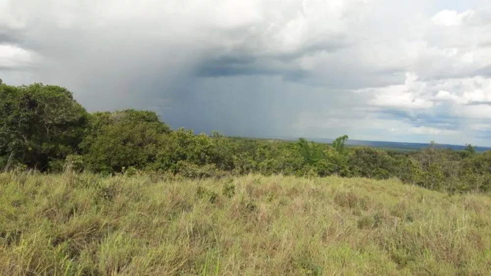 Fazenda à venda - Foto 4