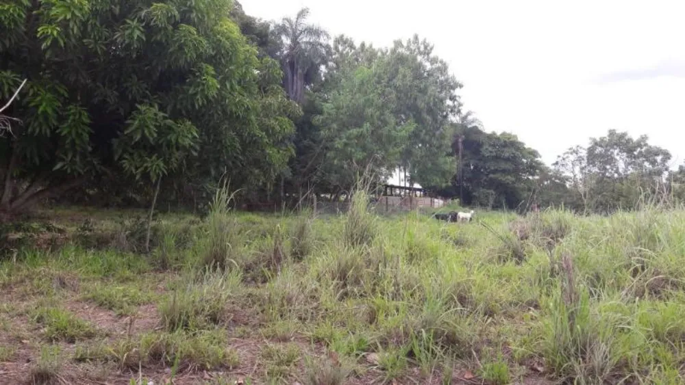 Fazenda - Foto 6