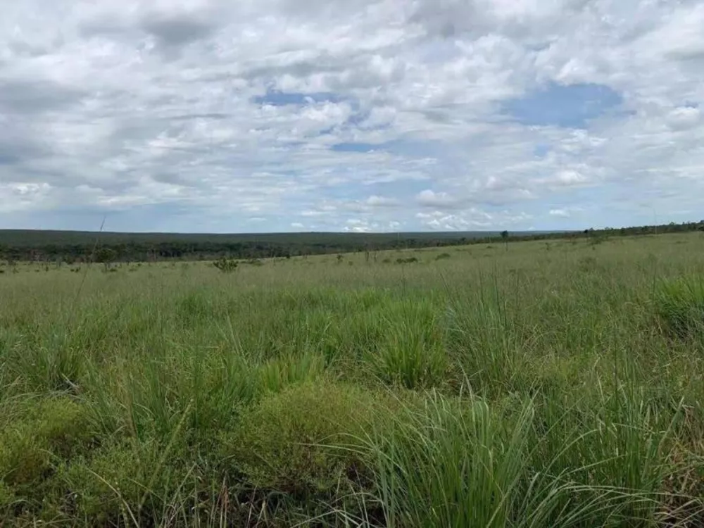 Fazenda à venda - Foto 7