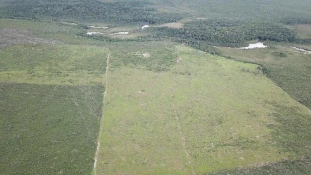 Fazenda à venda - Foto 3