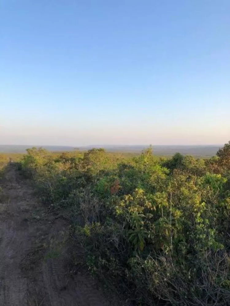 Fazenda à venda - Foto 1