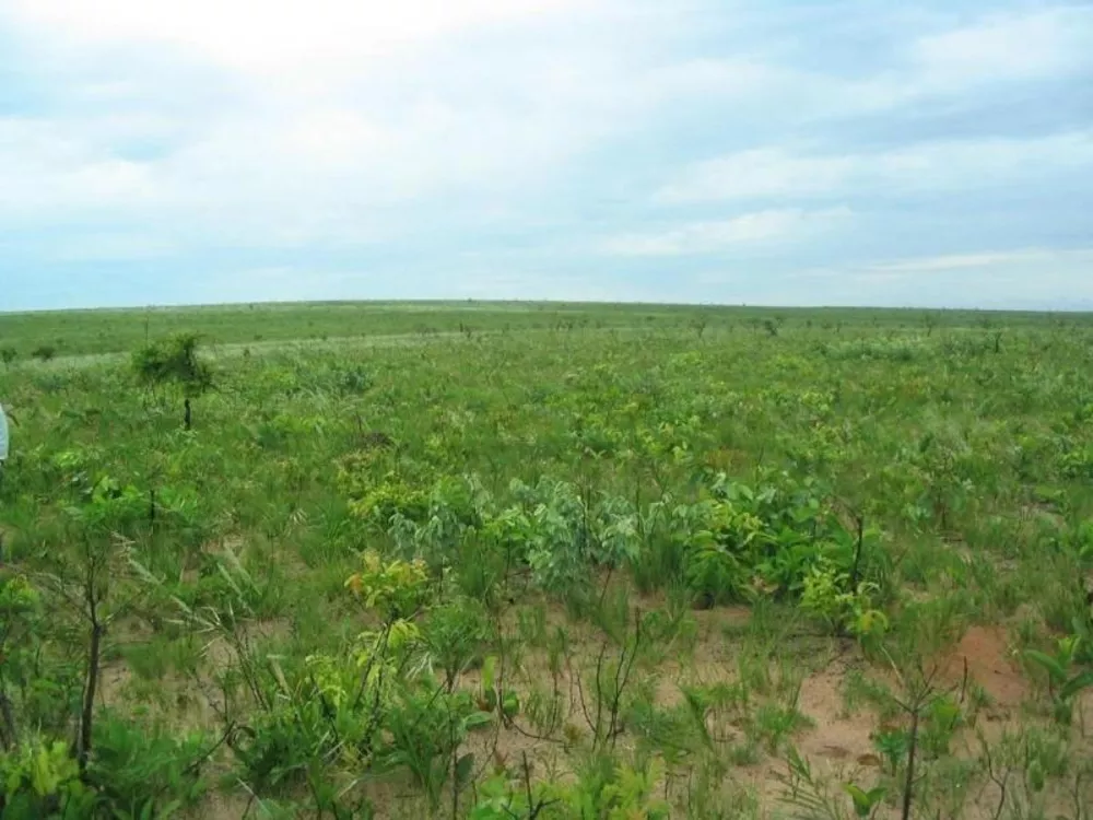 Fazenda à venda - Foto 5