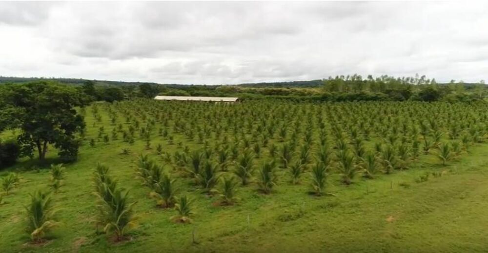 Fazenda à venda - Foto 27