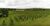 Fazenda-Sítio-Chácara - Foto 27
