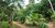 Fazenda-Sítio-Chácara - Foto 23
