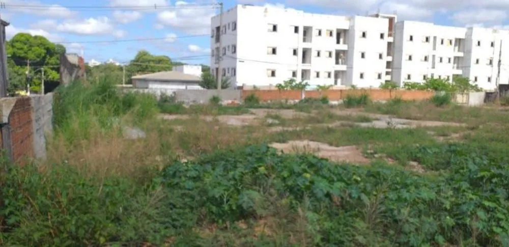Terreno, 1700 m² - Foto 3