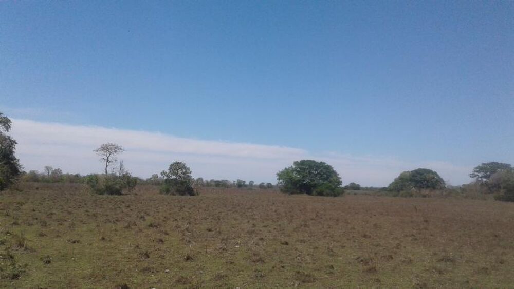Fazenda à venda - Foto 3