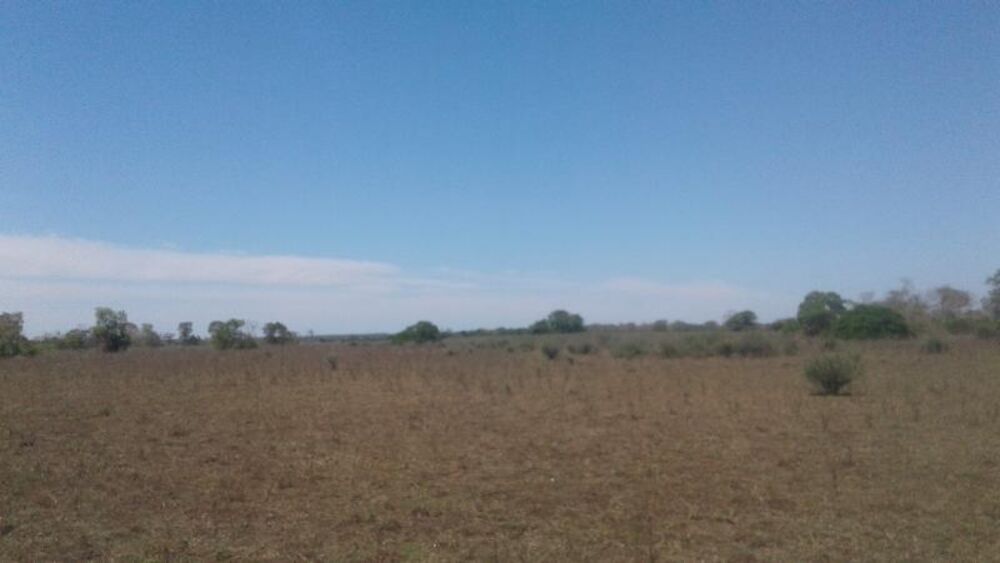 Fazenda à venda - Foto 2
