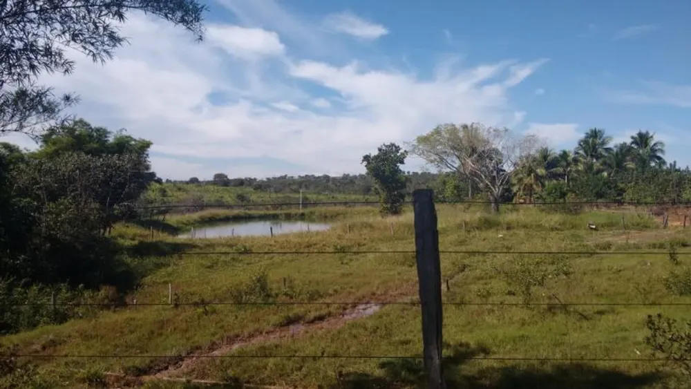 Fazenda - Foto 7