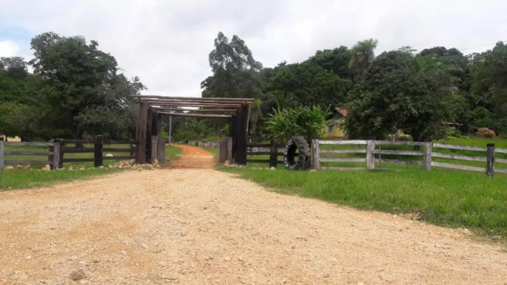 Fazenda - Foto 5