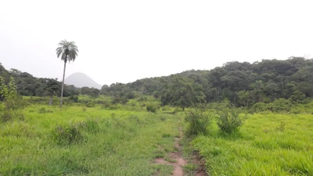 Fazenda - Foto 8