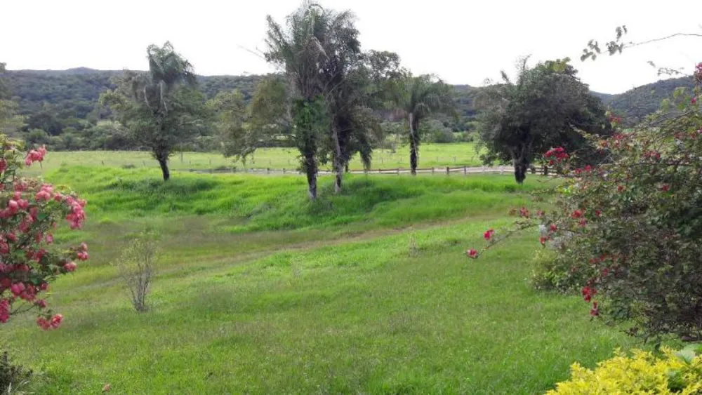 Fazenda - Foto 6