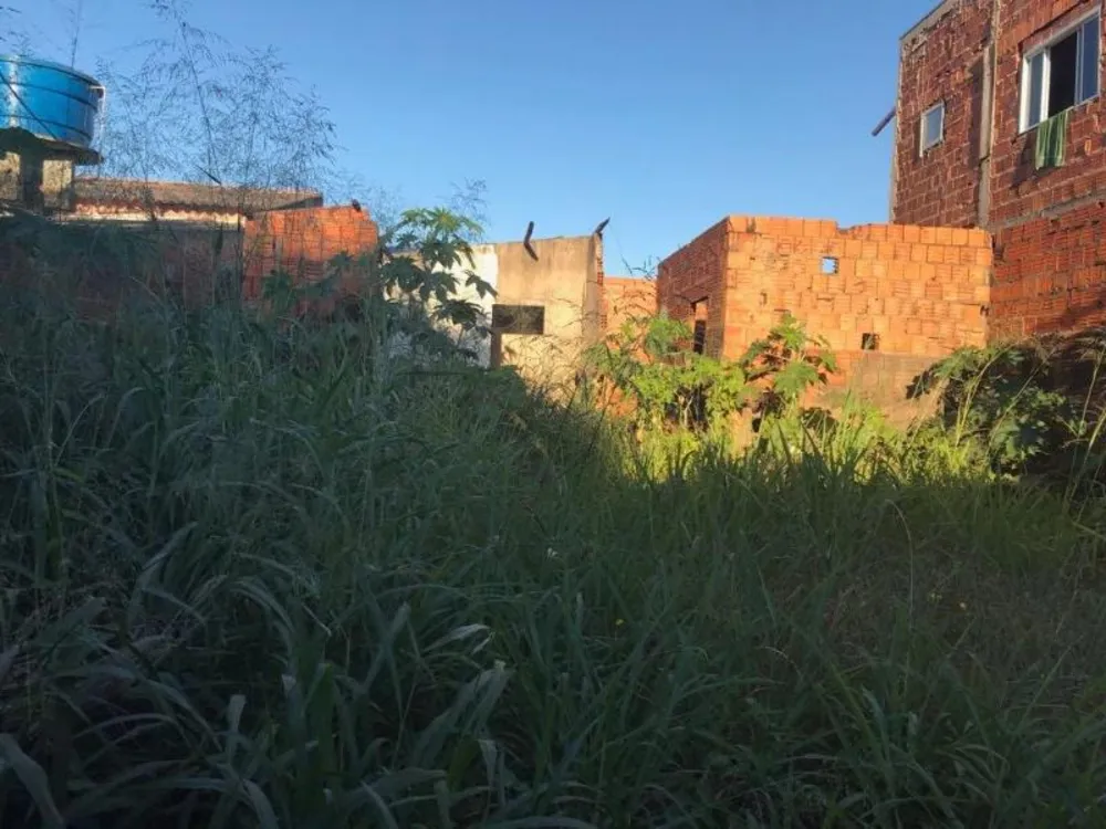 Terreno - Foto 4