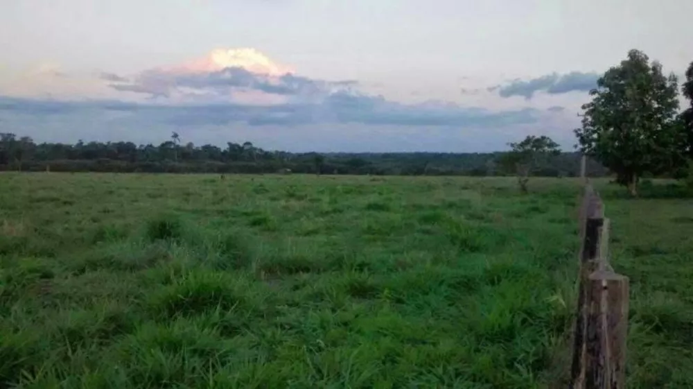 Fazenda à venda - Foto 1