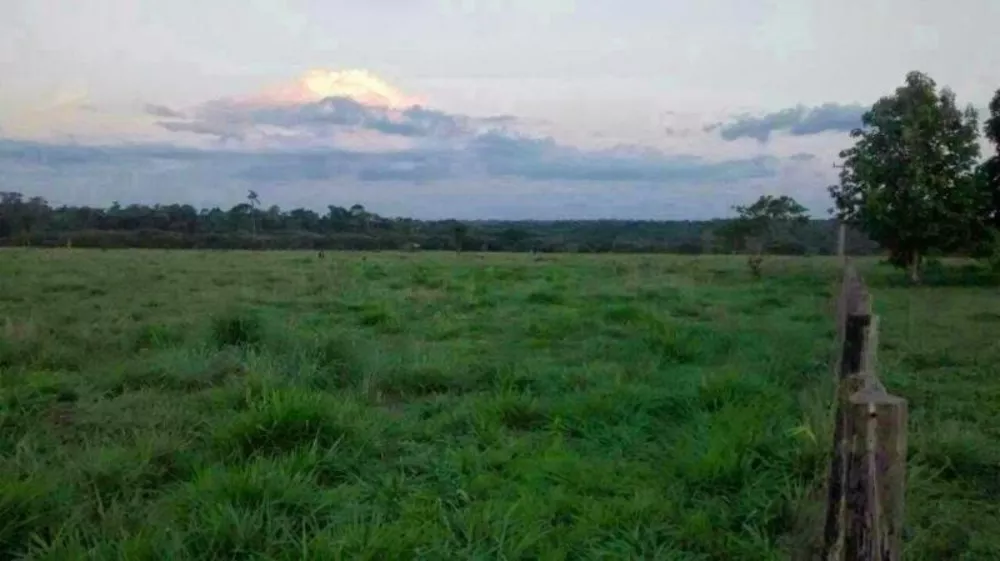 Fazenda à venda - Foto 2