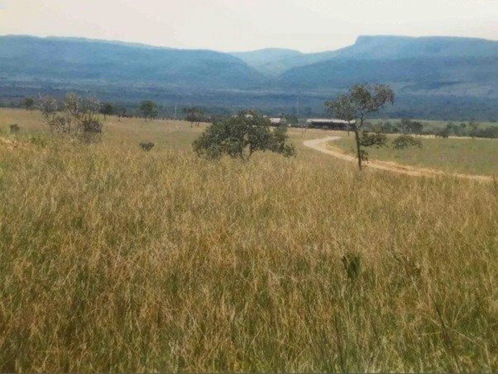 Fazenda à venda - Foto 1