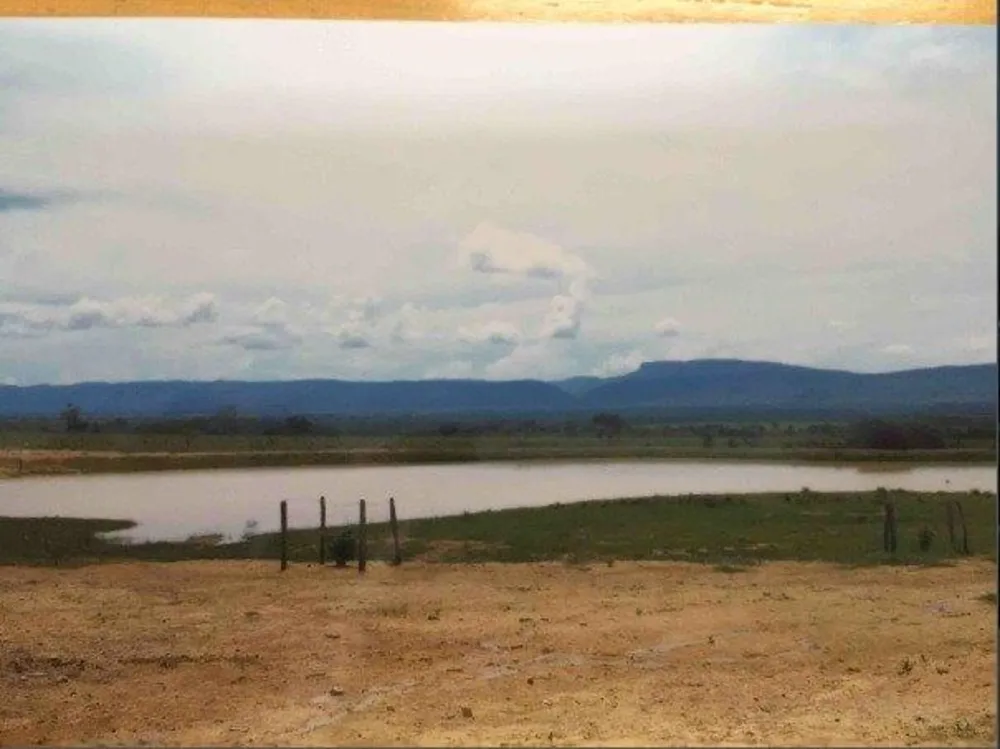 Fazenda - Foto 8