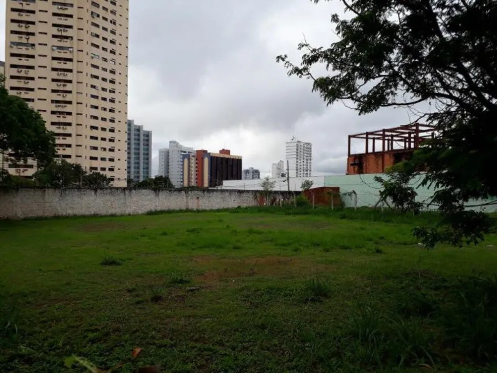 Terreno - Foto 5