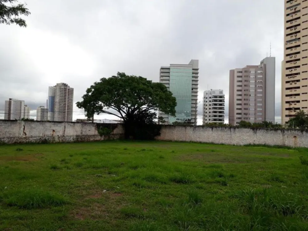 Terreno - Foto 6