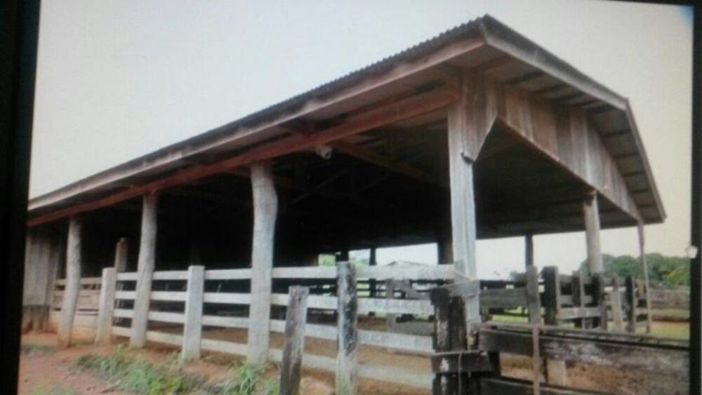 Fazenda - Foto 4