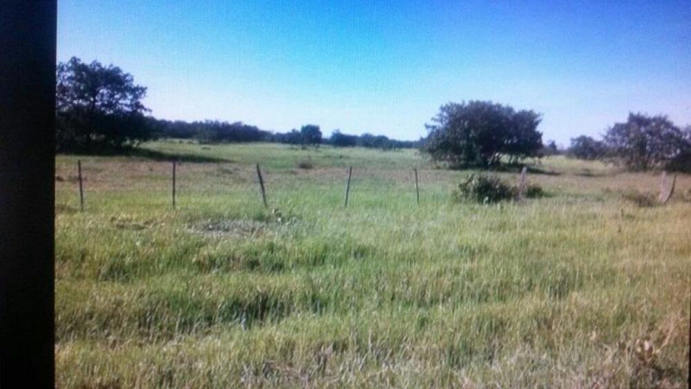 Fazenda - Foto 15