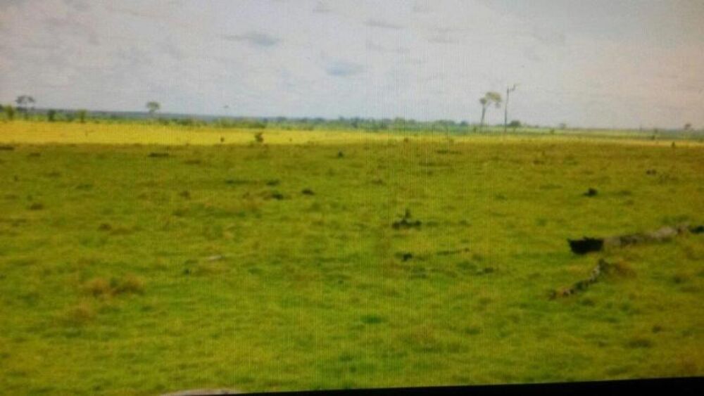 Fazenda - Foto 14