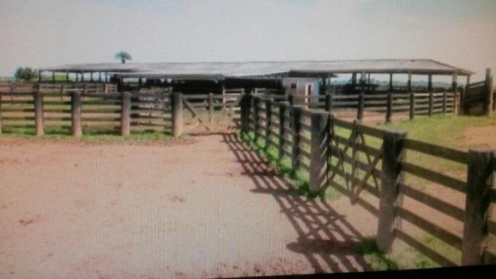 Fazenda - Foto 11