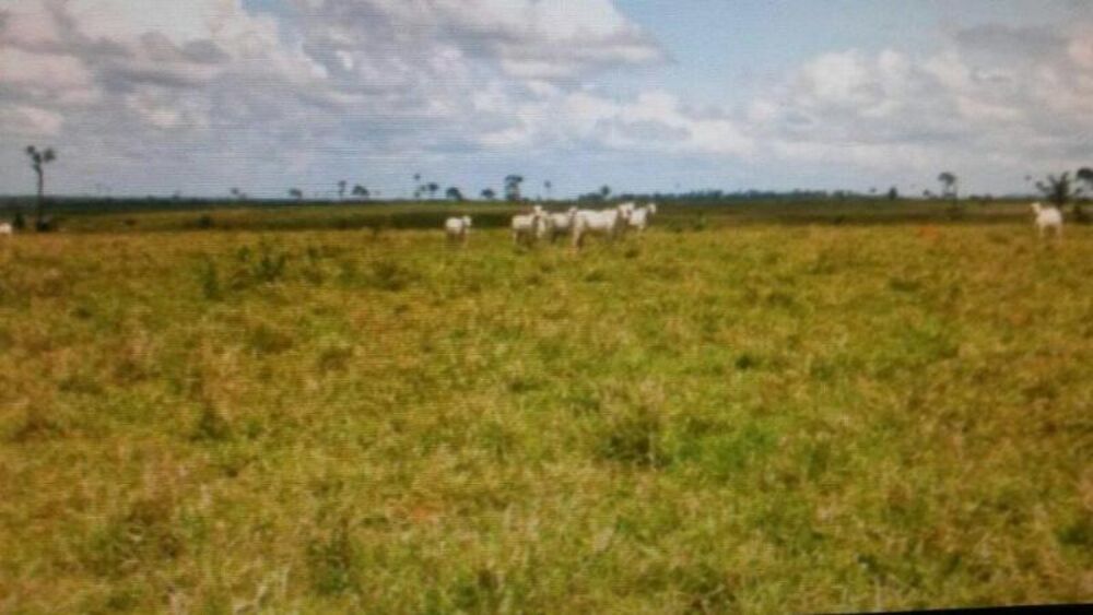 Fazenda - Foto 1