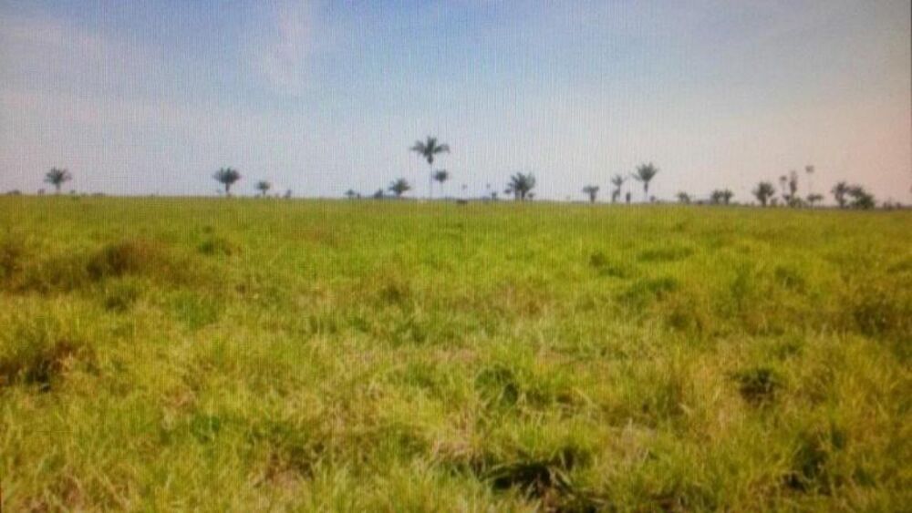 Fazenda - Foto 13