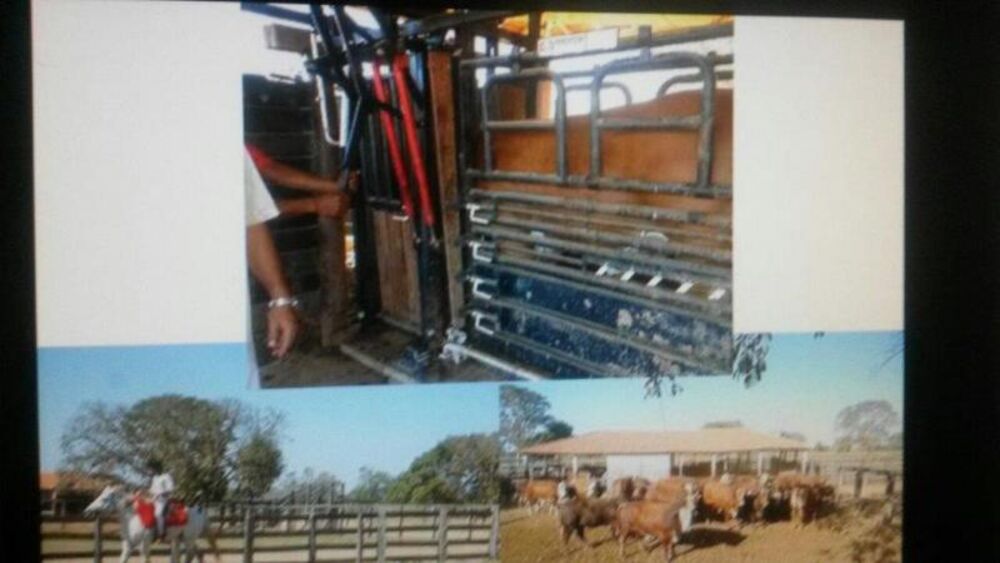 Fazenda - Foto 5