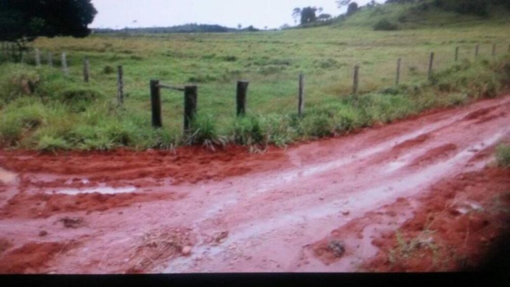 Fazenda - Foto 12