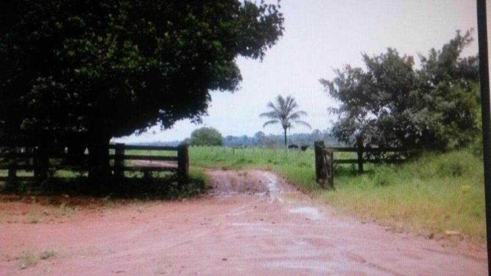 Fazenda - Foto 16